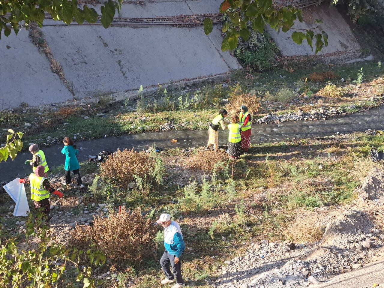 АКСИЯИ ТОЗАГИИ СОҲИЛ ДАР СОЙИ ТЕБАЛАЙ