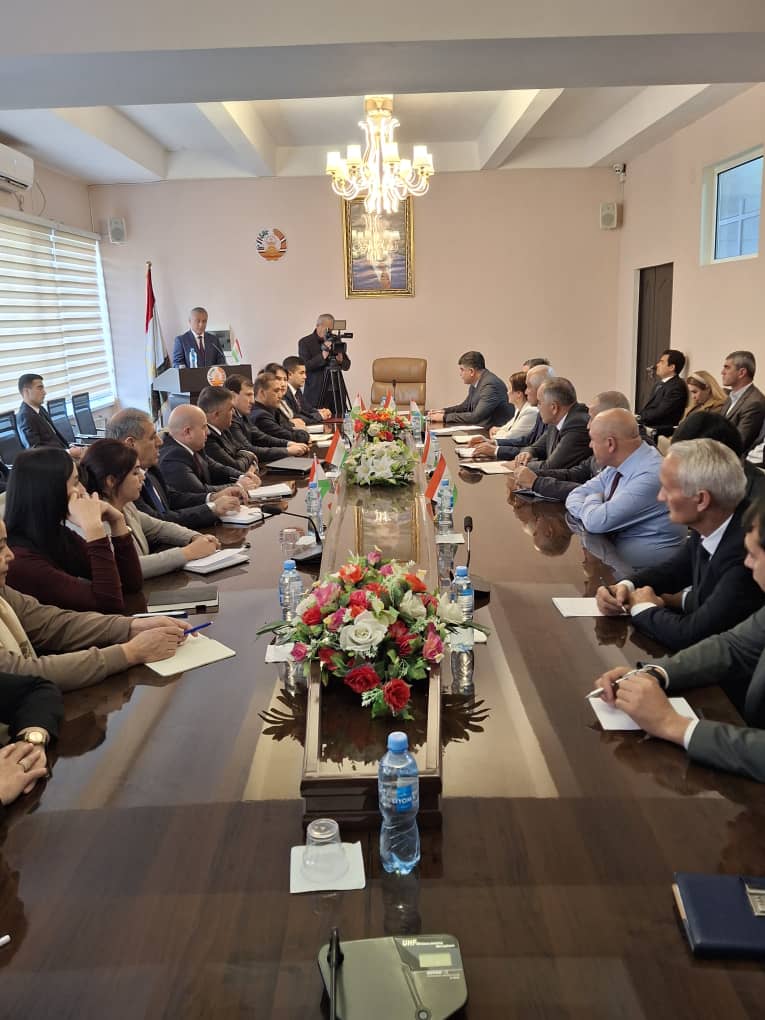 Конститутсия шаҳодатномаи давлат