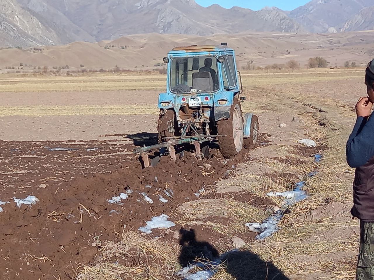 Осенний сев в Лахшском районе