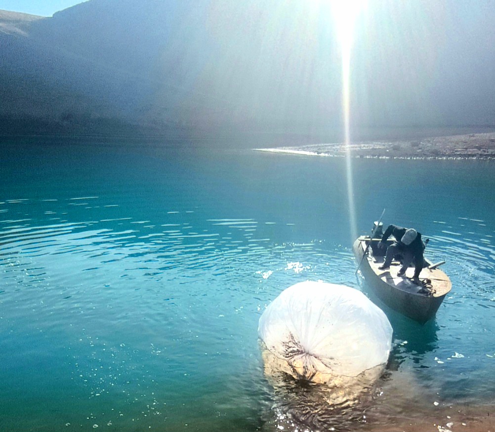 Мероприятия по рыбоводству на природных водных объектах