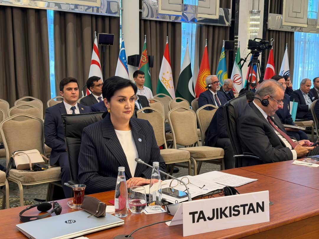 Ҳайати расмии Ҷумҳурии Тоҷикистон дар ҷаласаи 5-уми вазирони тиҷорат ва савдои хориҷии Созмони Ҳамкории Иқтисодӣ иштирок намуд