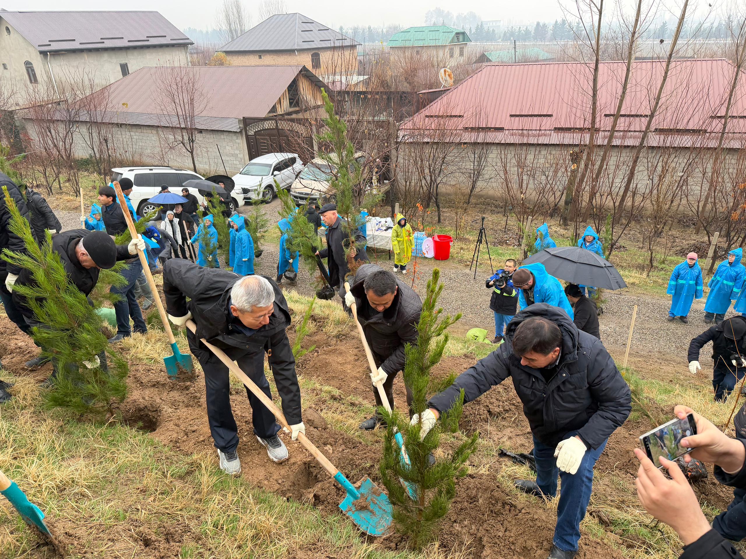 Planting plants on the Dushanbe-Vahdat highway