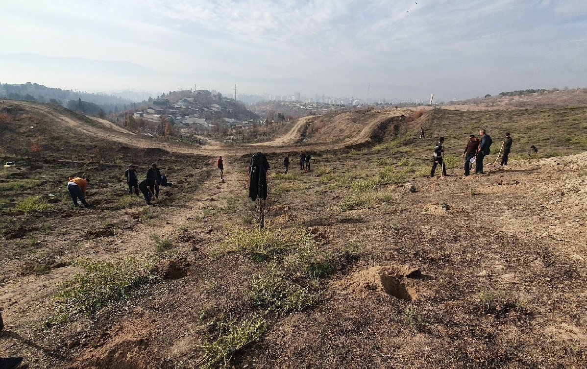 Сарсабзии пойтахт боиси ифтихори мост!