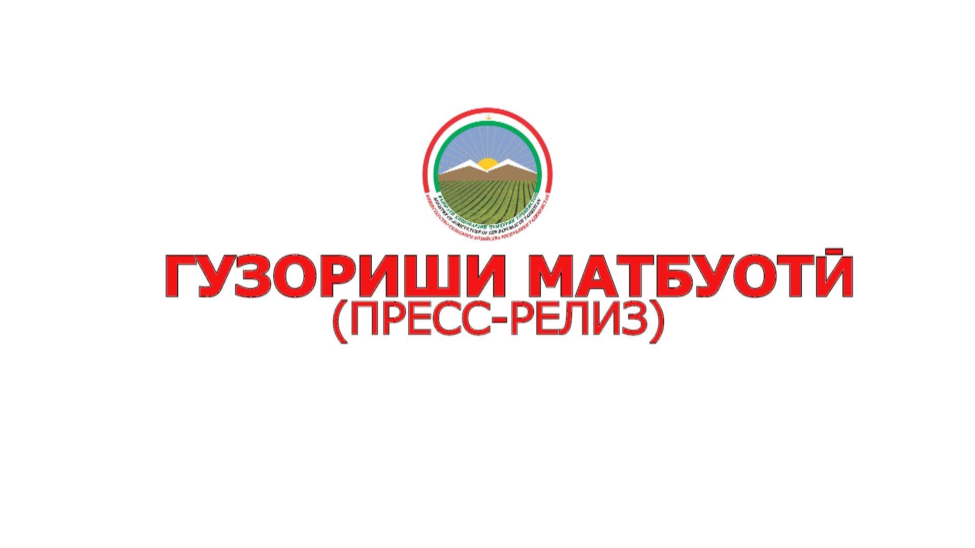 Гузориши матбуотӣ оид ба рафти шудгор, кишти баҳорӣ, бунёди боғ ва наслгирӣ ба ҳолати 03.04.2026