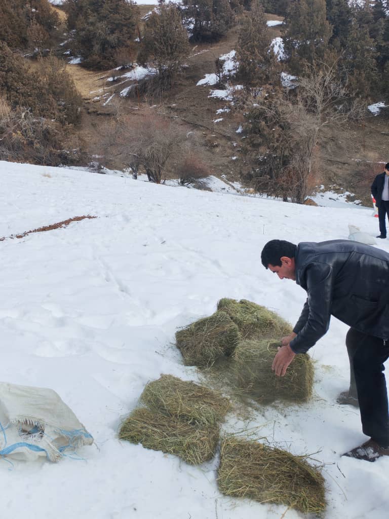 Operation “Protection of Wild Animals and Birds” in the Highland and Foothill Areas of Sughd Region