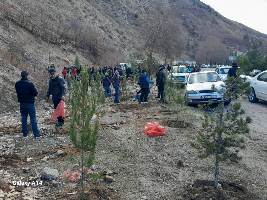 Implementation of Greening Works in the Varzob District