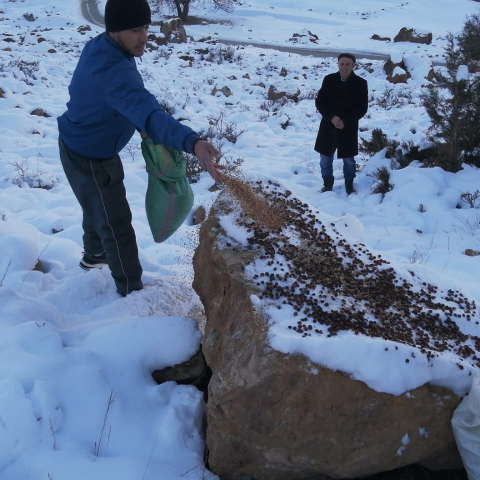 Биотехнические работы в Государственном учреждении лесного хозяйства района Вандж