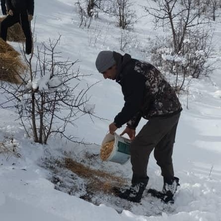 Дар ноҳияи Файзобод корҳои биотехникӣ барои ҳифзи ҳайвонот ва парандагон гузаронида шуданд