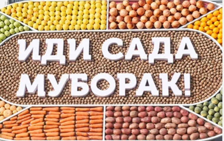 Праздник Сада-символ победы тепла над холодом