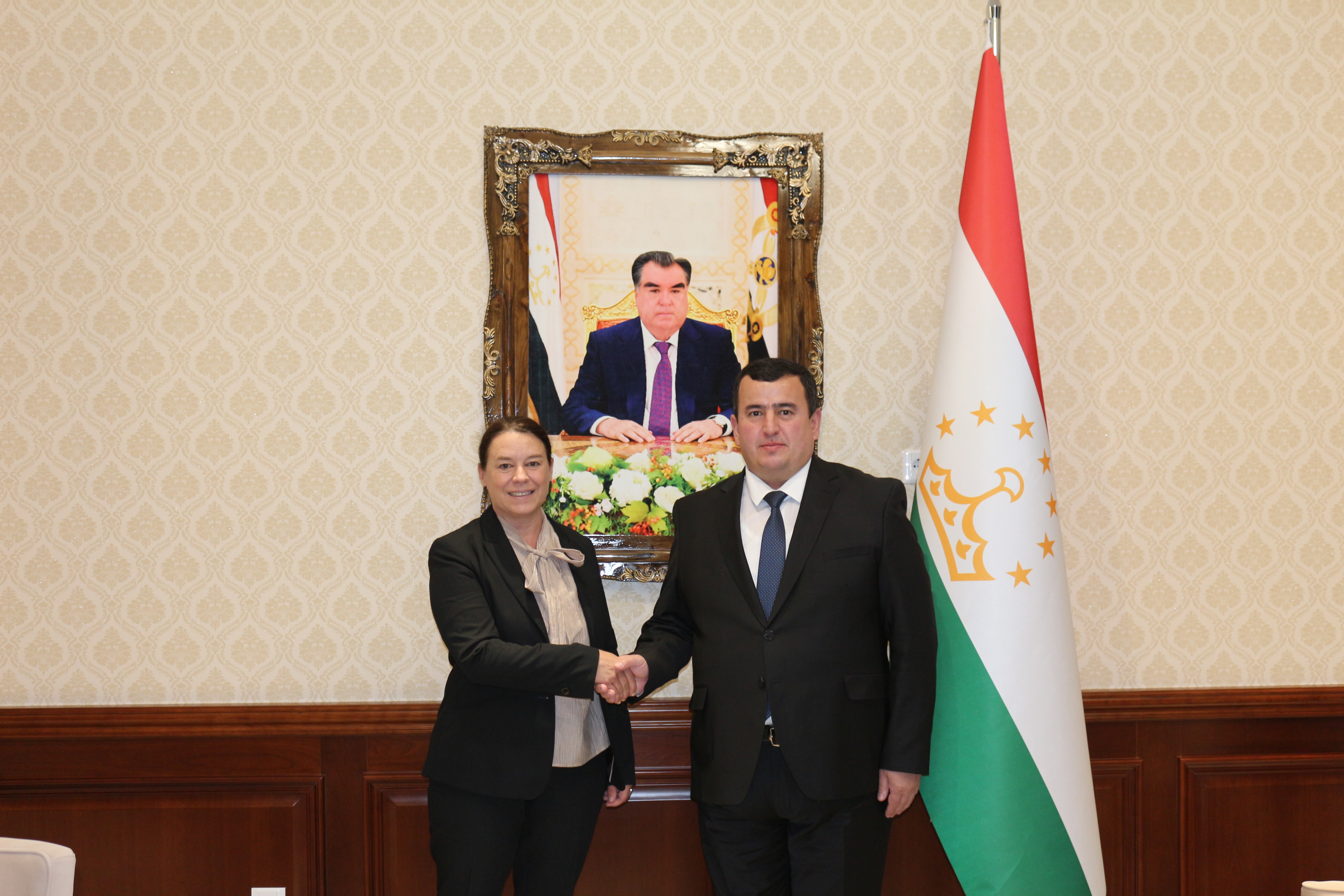 Meeting of the Minister of Economic Development and Trade with the Head of the Swiss Cooperation Office in Tajikistan