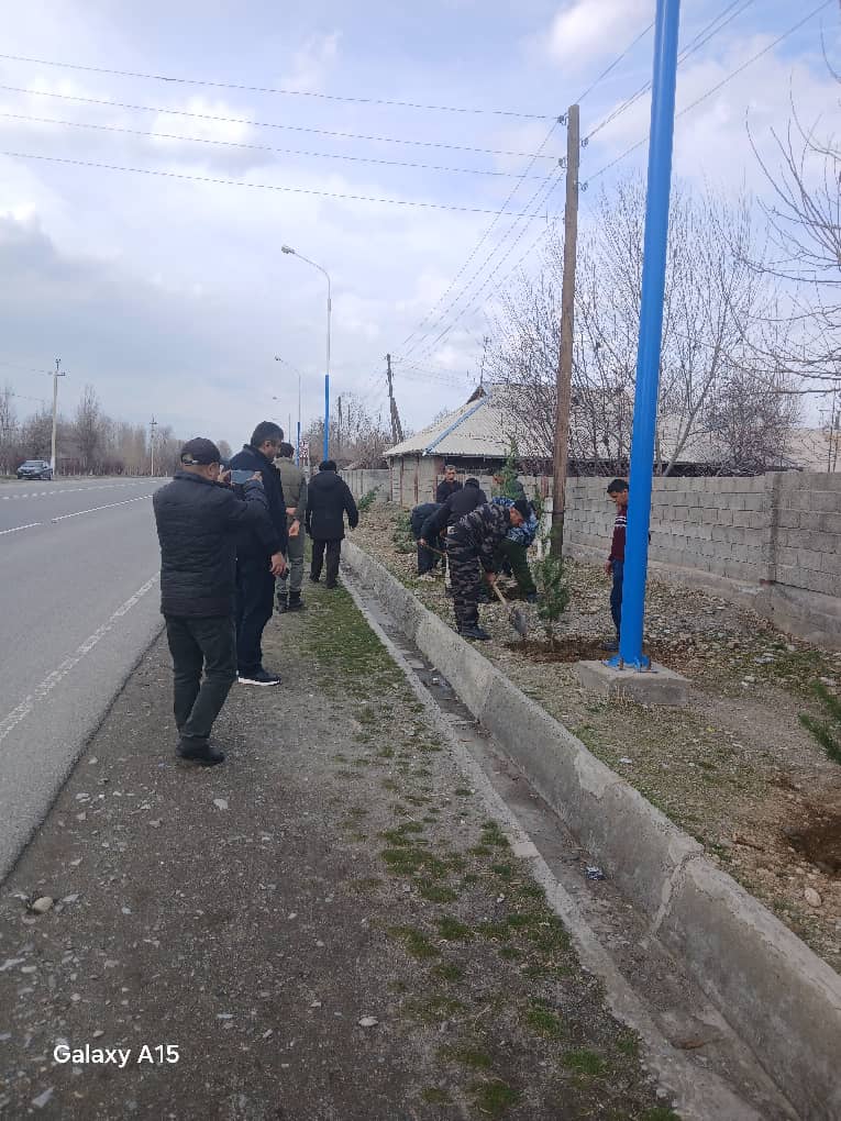 State Forestry Enterprise of Panjakent City: 500 Evergreen Trees for a Green Future