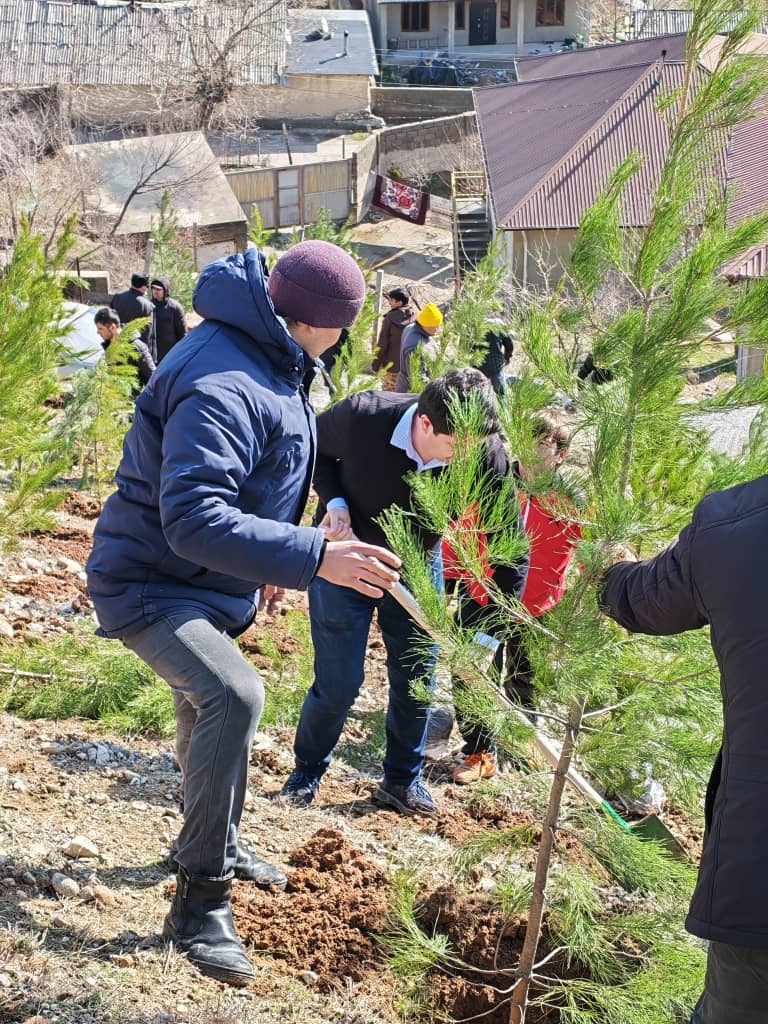 Повышение экологической культуры через проведение акции по посадке деревьев