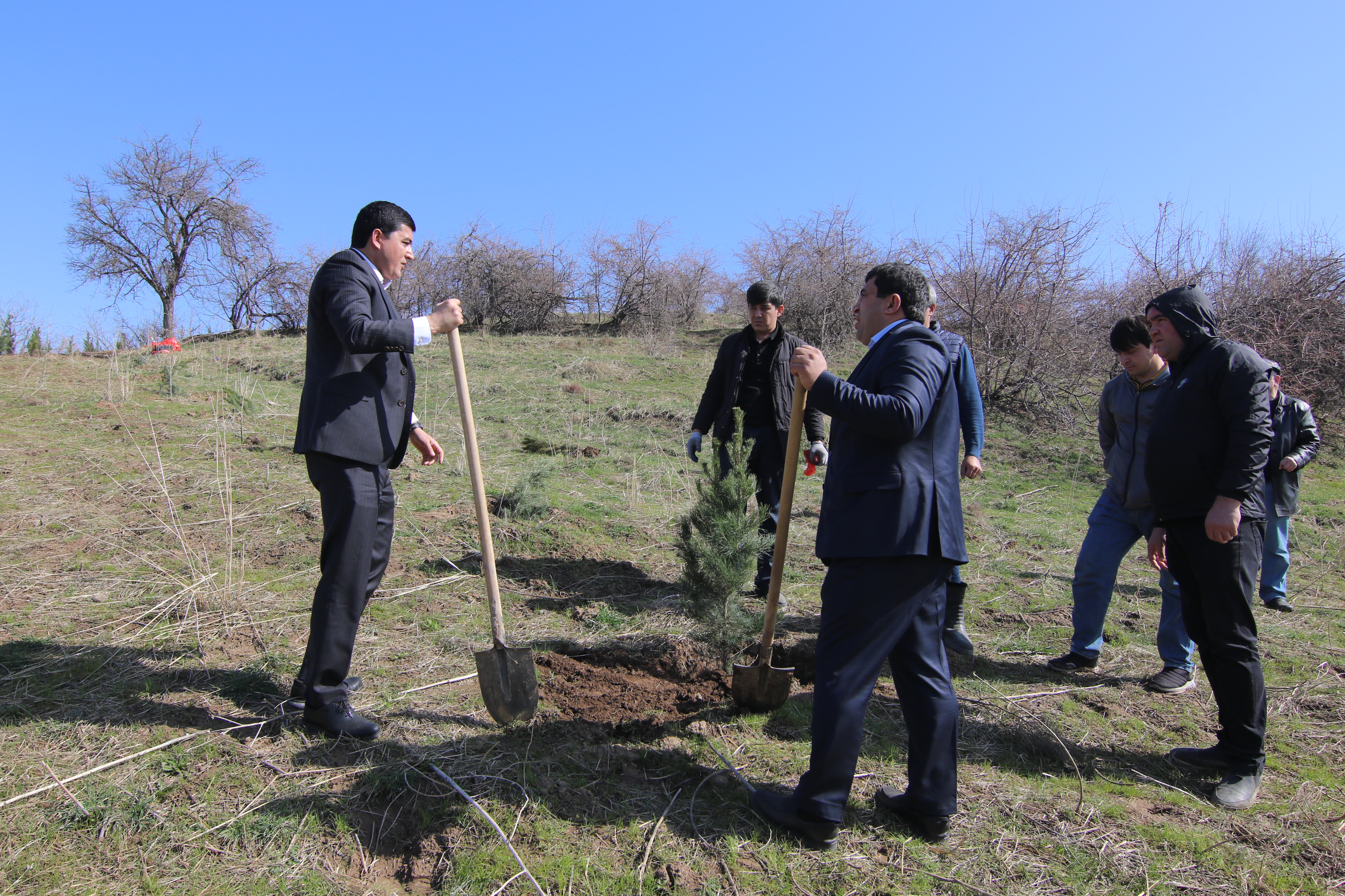 Усиление мер по озеленению в рамках Международного десятилетия наук о криосфере