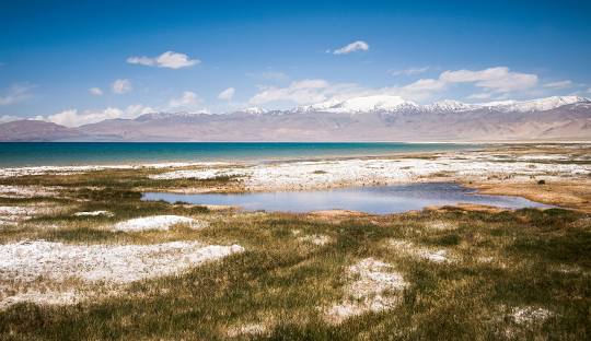Экологическая дата: 2 февраля - Всемирный день водно-болотных угодий