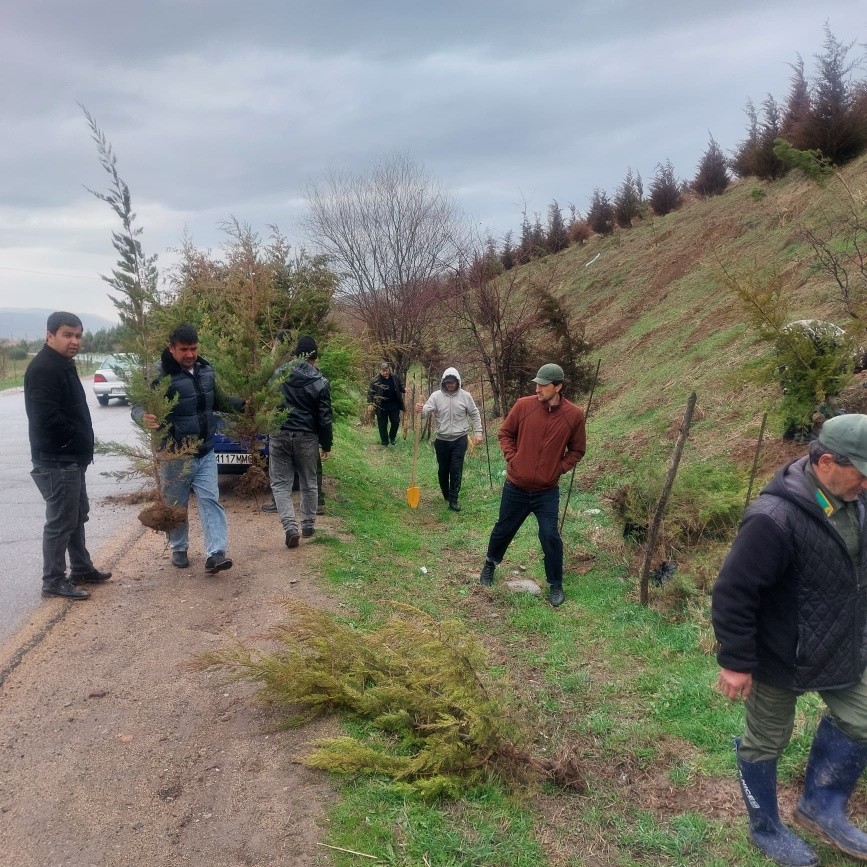 From Plan to Action: Greening the Vahdat–Fayzobod Highway