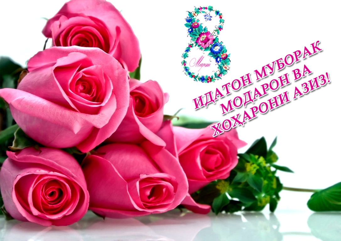 МОДАР - ИБТИДОИ ЗИНДАГӢ