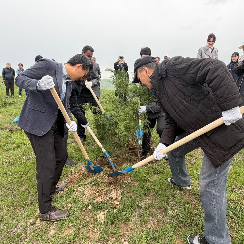 🌲🌲 Церемония посадки деревьев вдоль автомобильной магистрали Душанбе–Вахдат