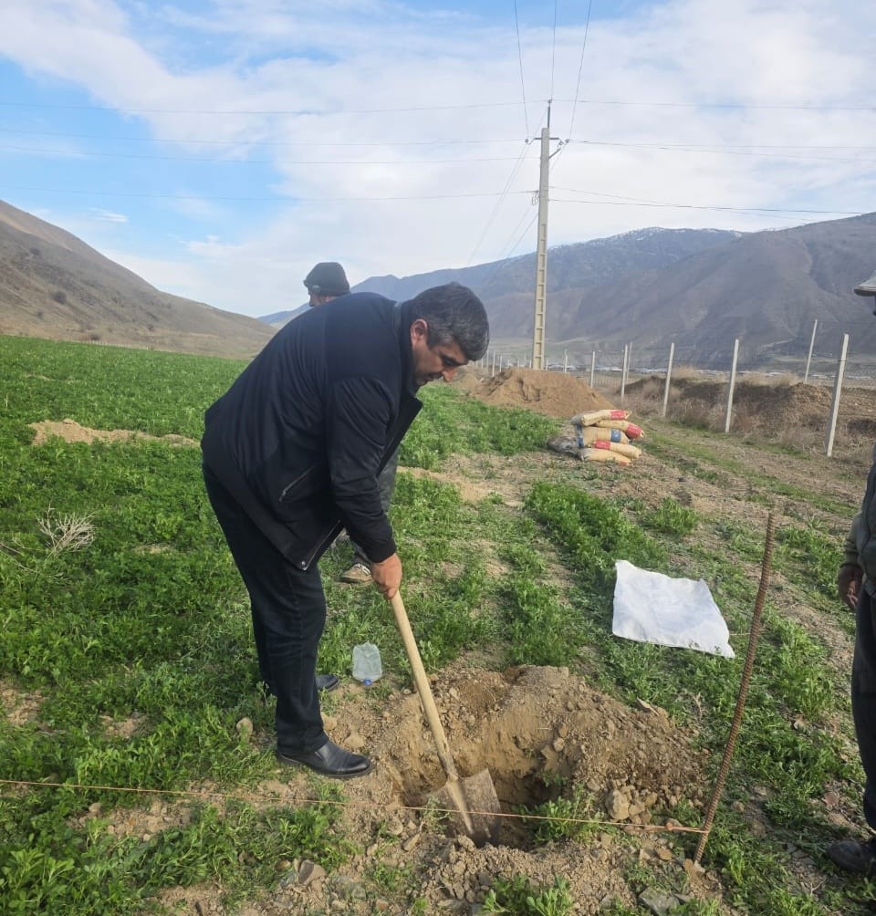 🌿 Reviving Fruit-Bearing Forests: Practical Steps in Panjakent