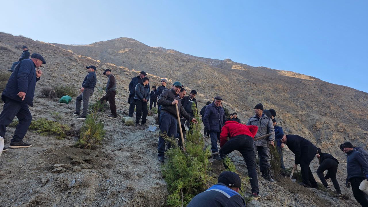 Continuation of Greening Activities in Ayni District