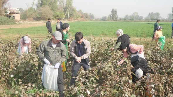 МАЪРАКАИ ҶУМҲУРИЯВИИ ДАСТАҶАМЪОНАИ ПАХТАЧИНӢ