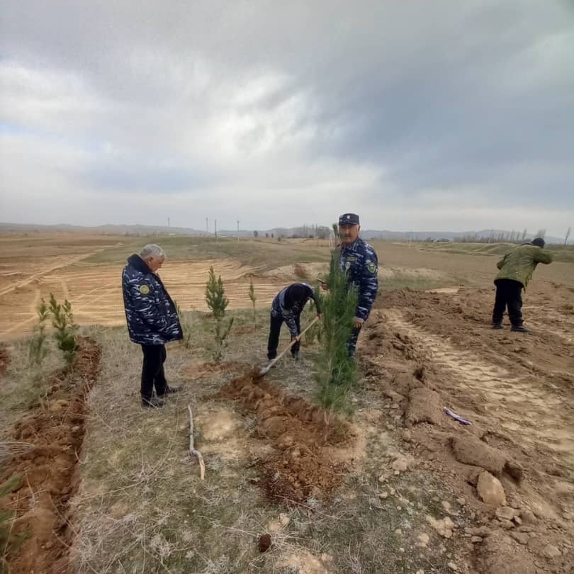 🌱 Green Zones Initiative: Shahriston’s Contribution to Forest Development