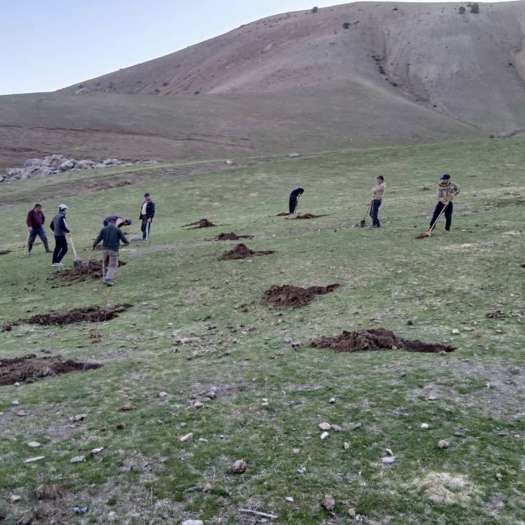 🌲 Tree Planting Campaign within the Sustainable Landscape Restoration Project