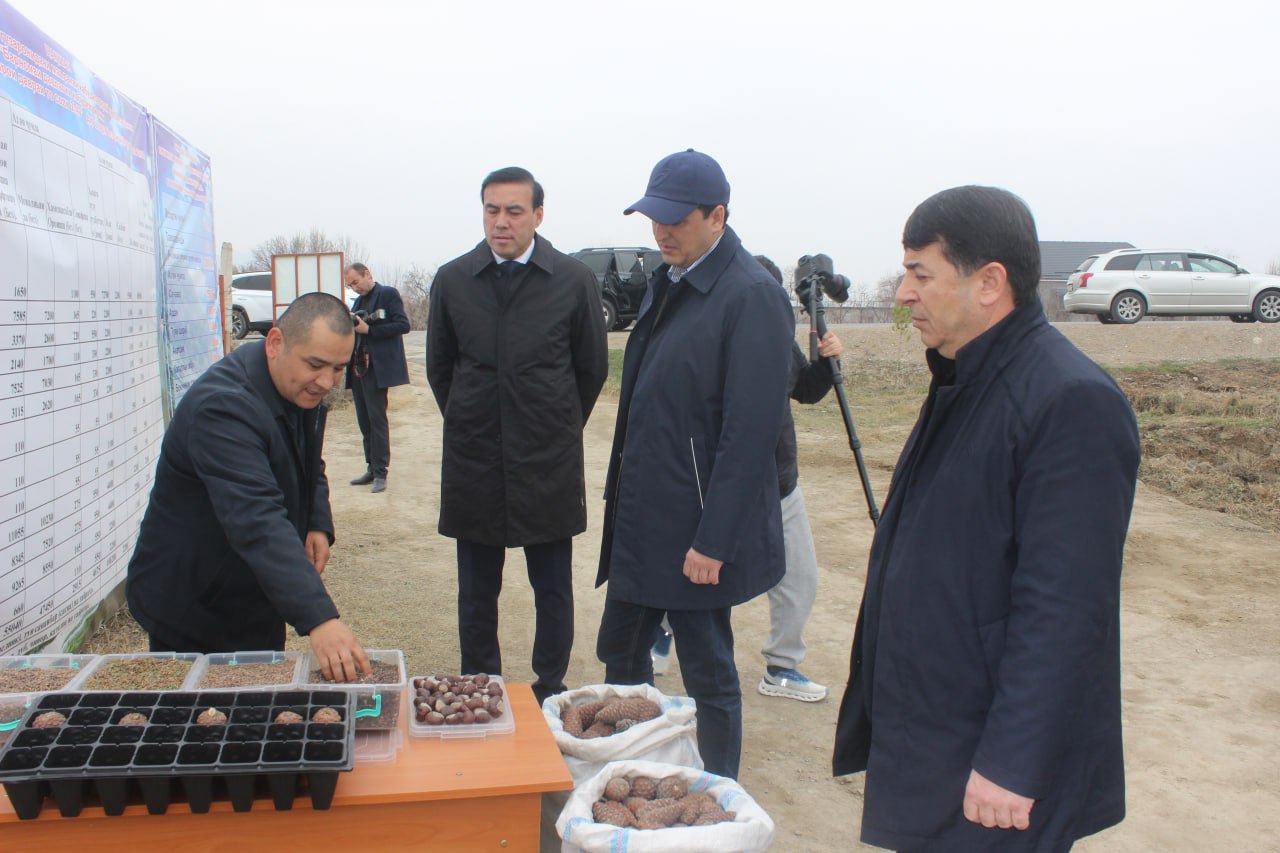 A tree-planting campaign was held in the city of Isfara.