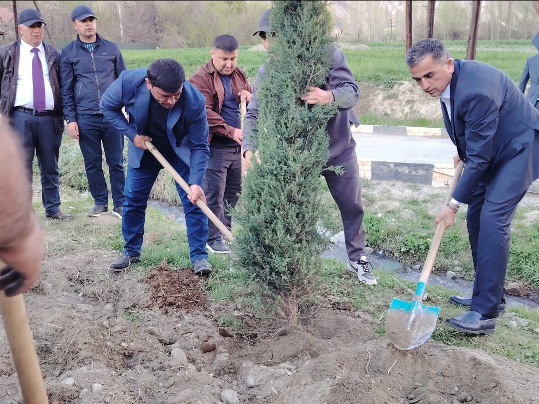 Мероприятия по посадке деревьев в районах Вандж, Шугнон и городе Хорог с участием государственных ответственных лиц