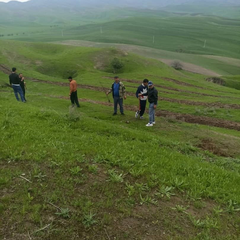 Green Initiative in Mir Sayid Ali Hamadoni District