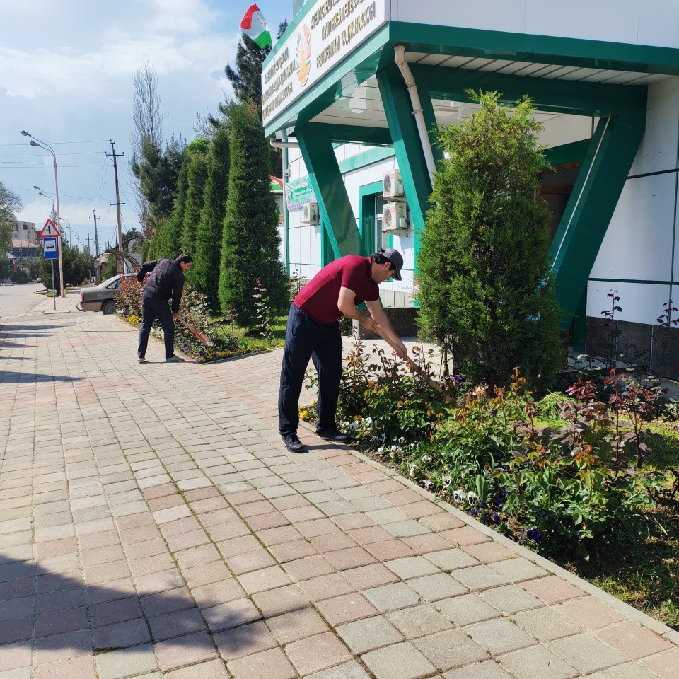 🇹🇯🌲«САҲМИ МАН ДАР ШАҲРИ МАН»🌲