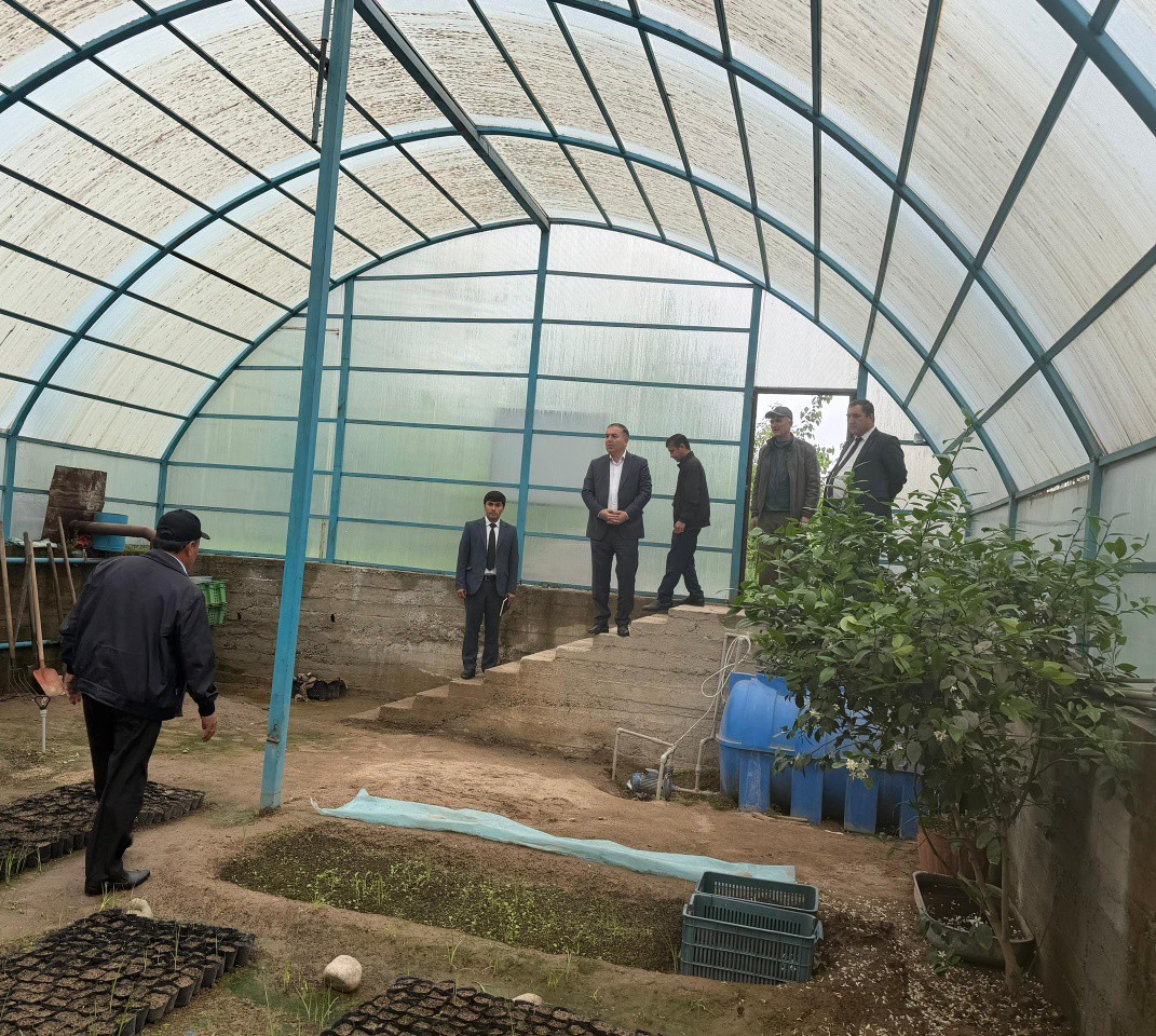 🌲 ПОСЕЩЕНИЕ ПИТОМНИКА ДИРЕКТОРОМ АГЕНТСТВА ЛЕСНОГО ХОЗЯЙСТВА  НАУЧНО-ИССЛЕДОВАТЕЛЬСКОГО ИНСТИТУТА🌲