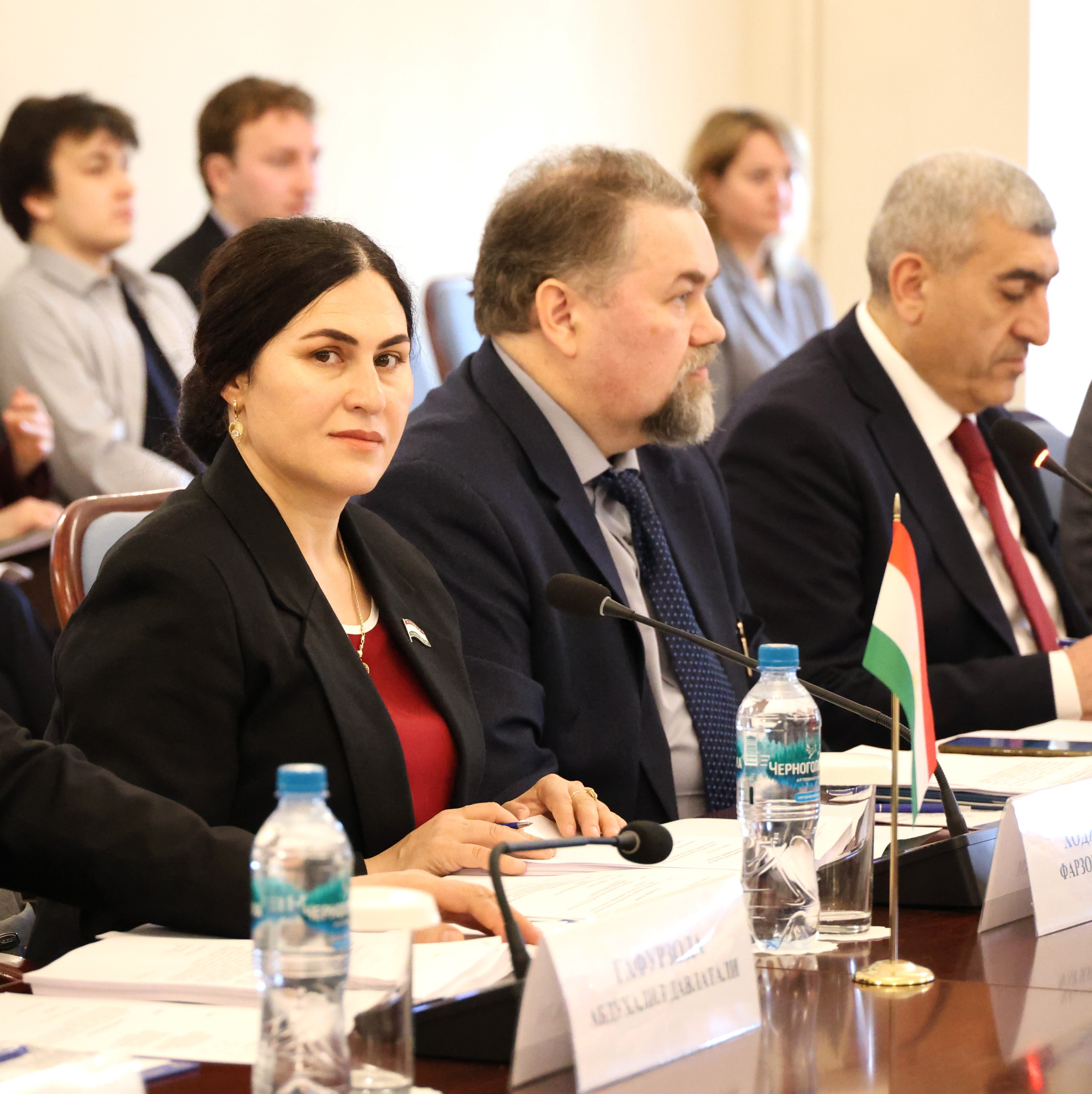 Фарзона Хоҷазода дар ҷаласаи Комиссияи доимии Ассамблеяи байнипарлумонии давлатҳои иштирокдори ИДМ оид ба фарҳанг, иттилоот, саёҳат ва варзиш иштирок намуд