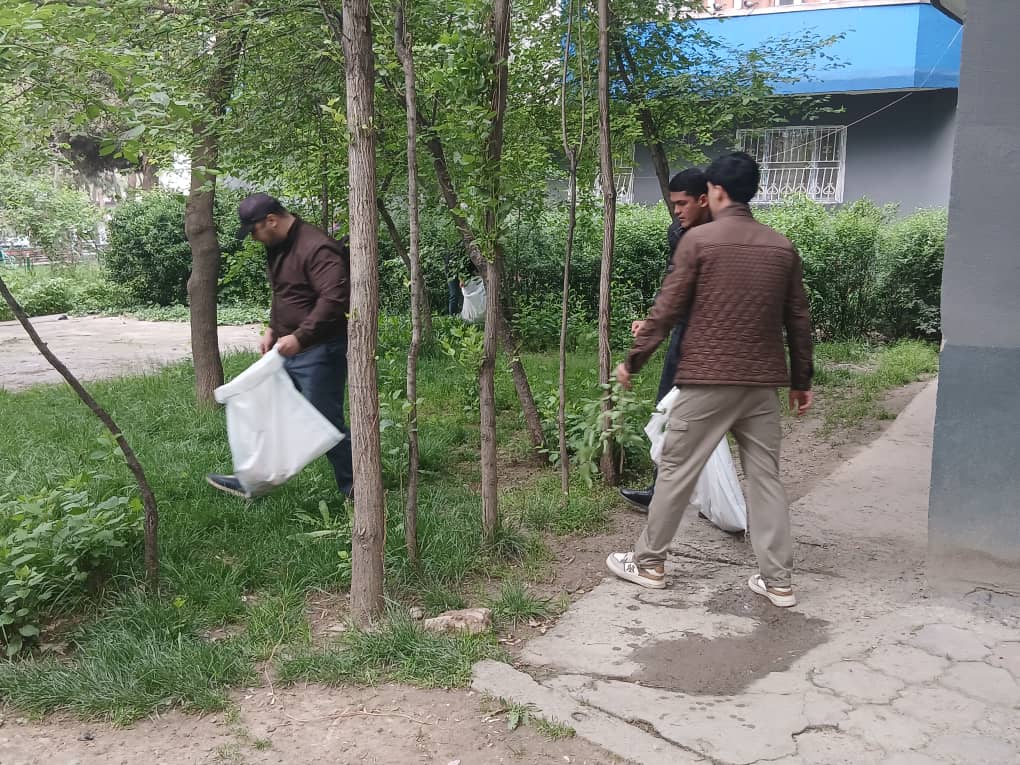 Мой вклад в благоустройство моего города