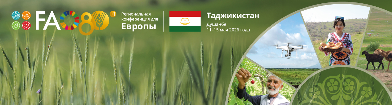 Брифинг оид ба корҳои ташкилӣ барои Иҷлосияи 35-умини Конфронси Созмони озуқаворӣ ва кишоварзии Созмони Милали Муттаҳид