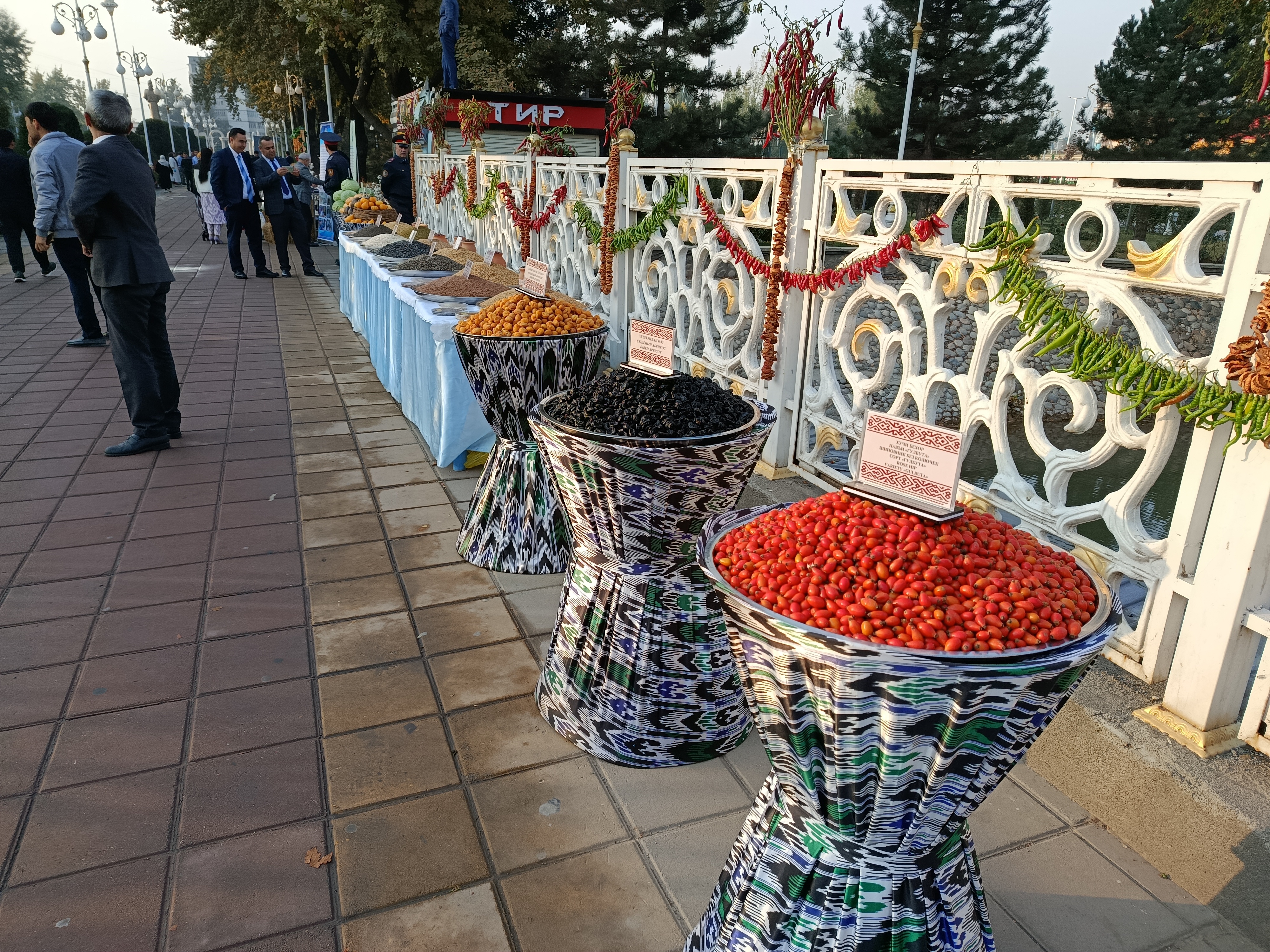 Mehregan Festival