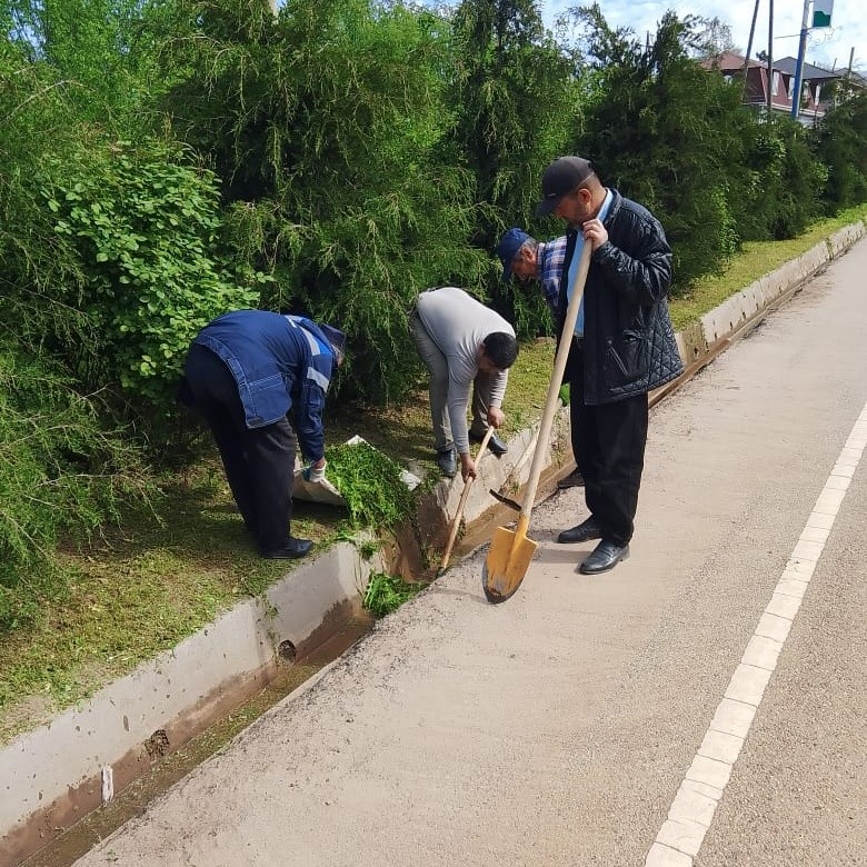 Collective clean-up day