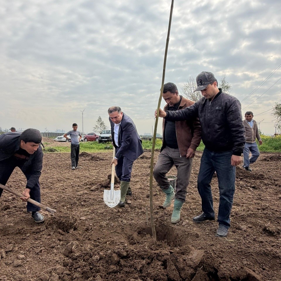 Tree planting campaign in the capital city