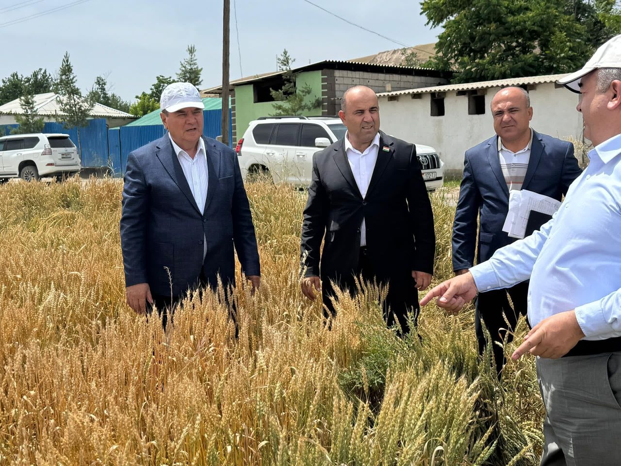 ШИНОСОӢ БО РАФТИ КОРҲОИ САҲРОӢ