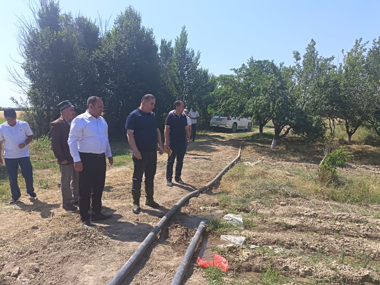 🇹🇯🌲 Боздиди директори Агентии хоҷагии ҷангали назди Ҳукумати Ҷумҳурии Тоҷикистон аз Муассисаи давлатии хоҷагии ҷангали шаҳри Истаравшан