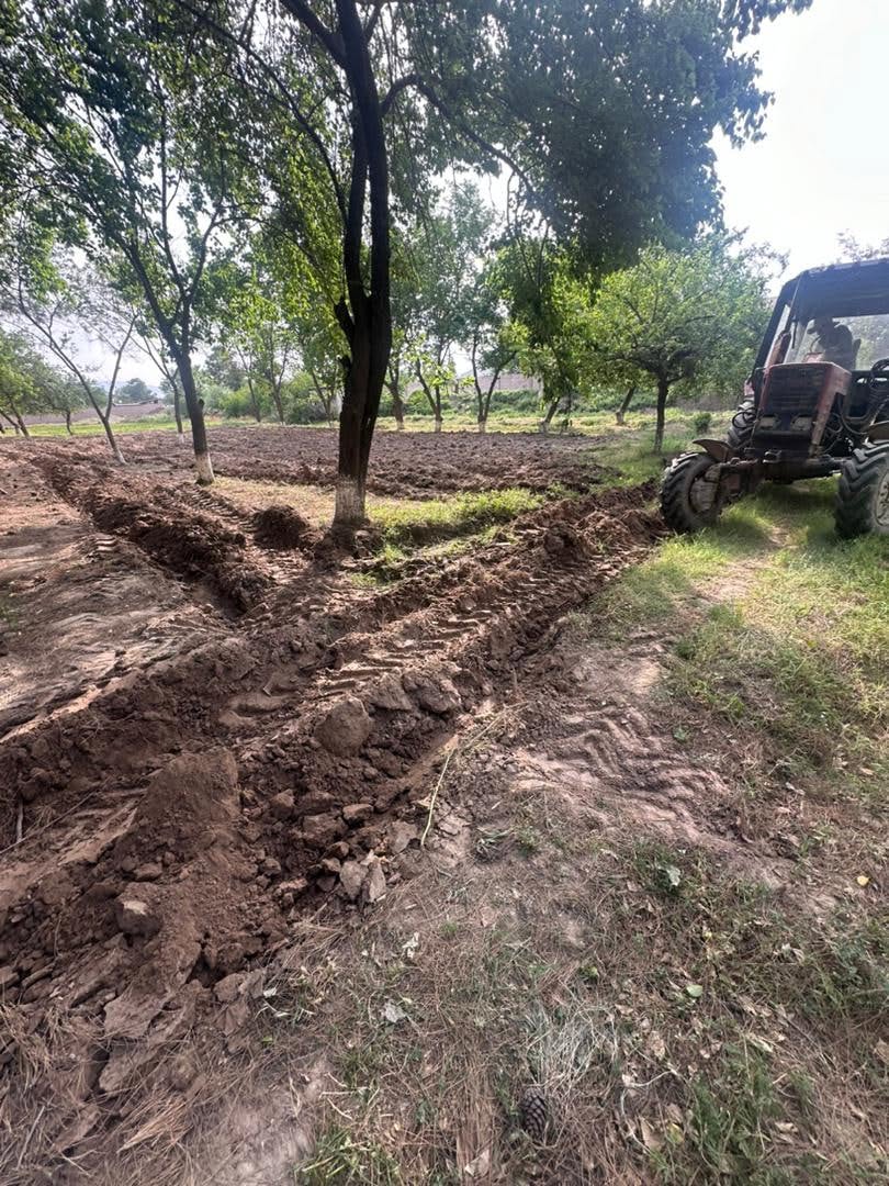 Efficient Utilization of Lands Managed by the Vakhsh Experimental Station of Soil Science and Land Reclamation.