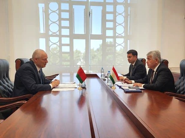 Гулзода Маҳмадшоҳ бо Николай Колодкин мулоқот намуд
