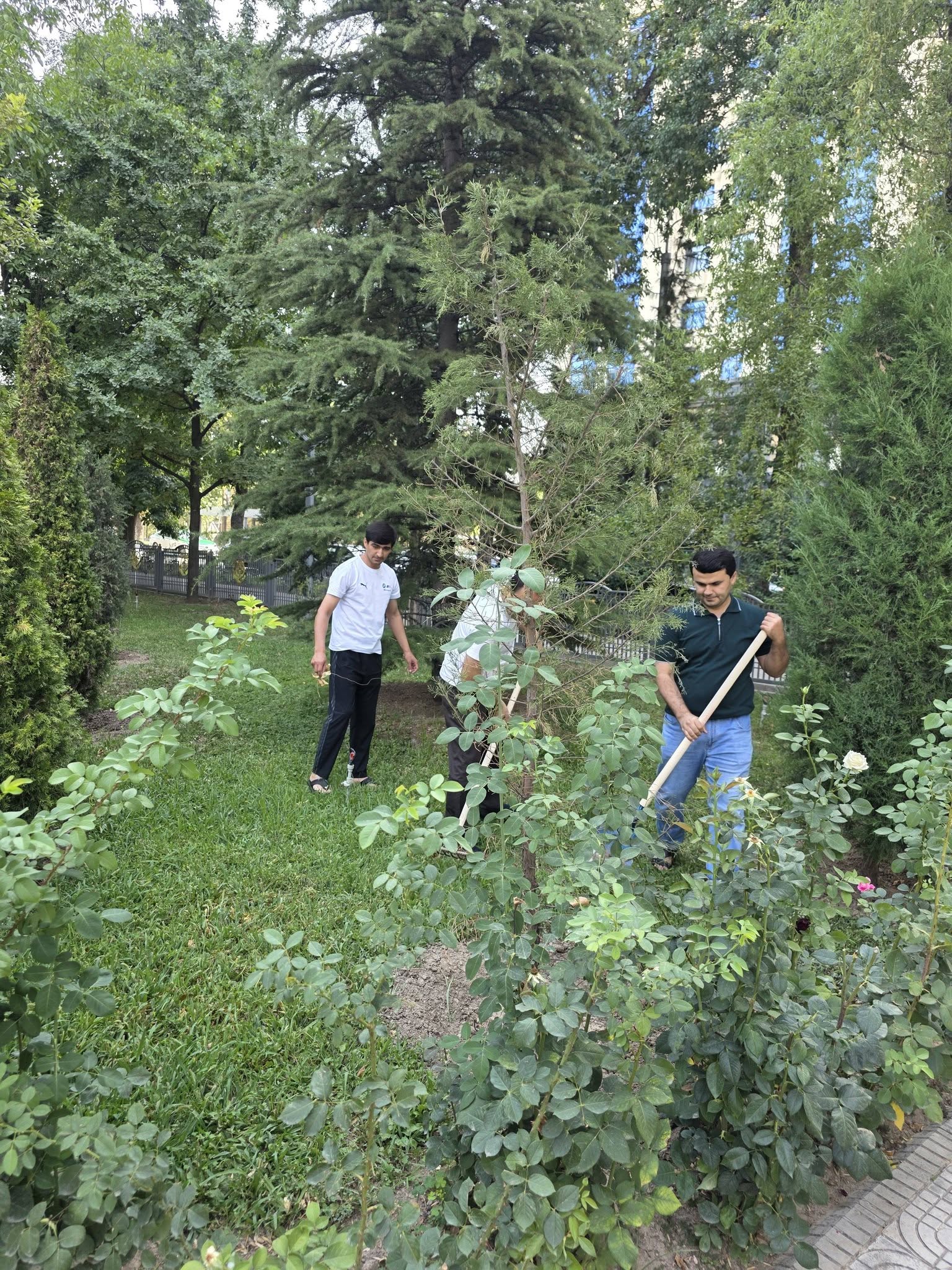 Мой вклад в мой город