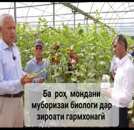 Plant Protection – the Foundation of a Bountiful Harvest and Food Security