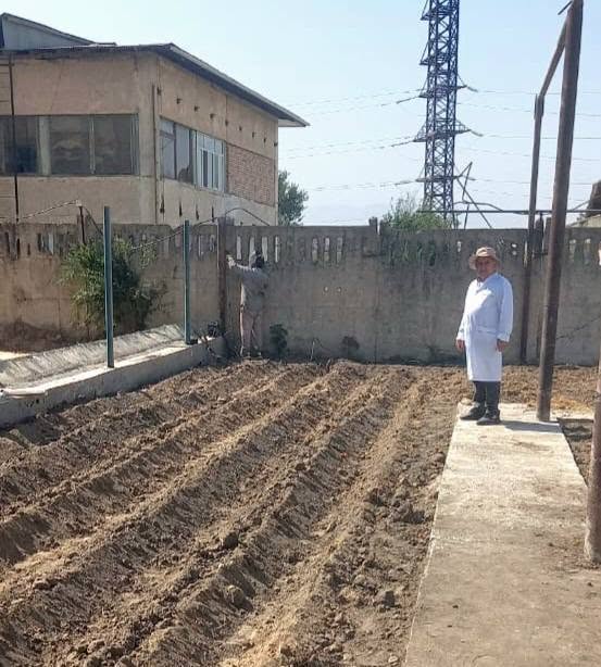Бо руҳияи созандагӣ ба пешвози 35-солагии Истиқлолияти давлатӣ