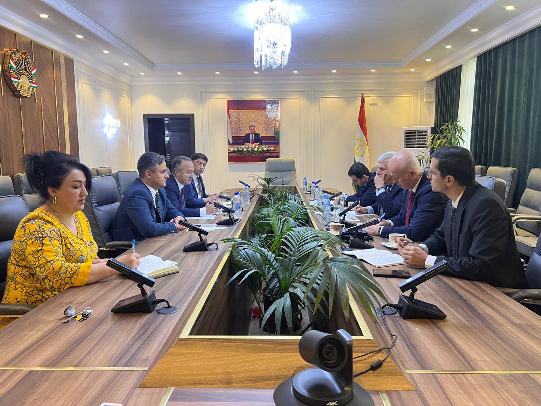 Meeting of the Director of the Agency for Export with the Chairman of the Turkey–Tajikistan Business Council