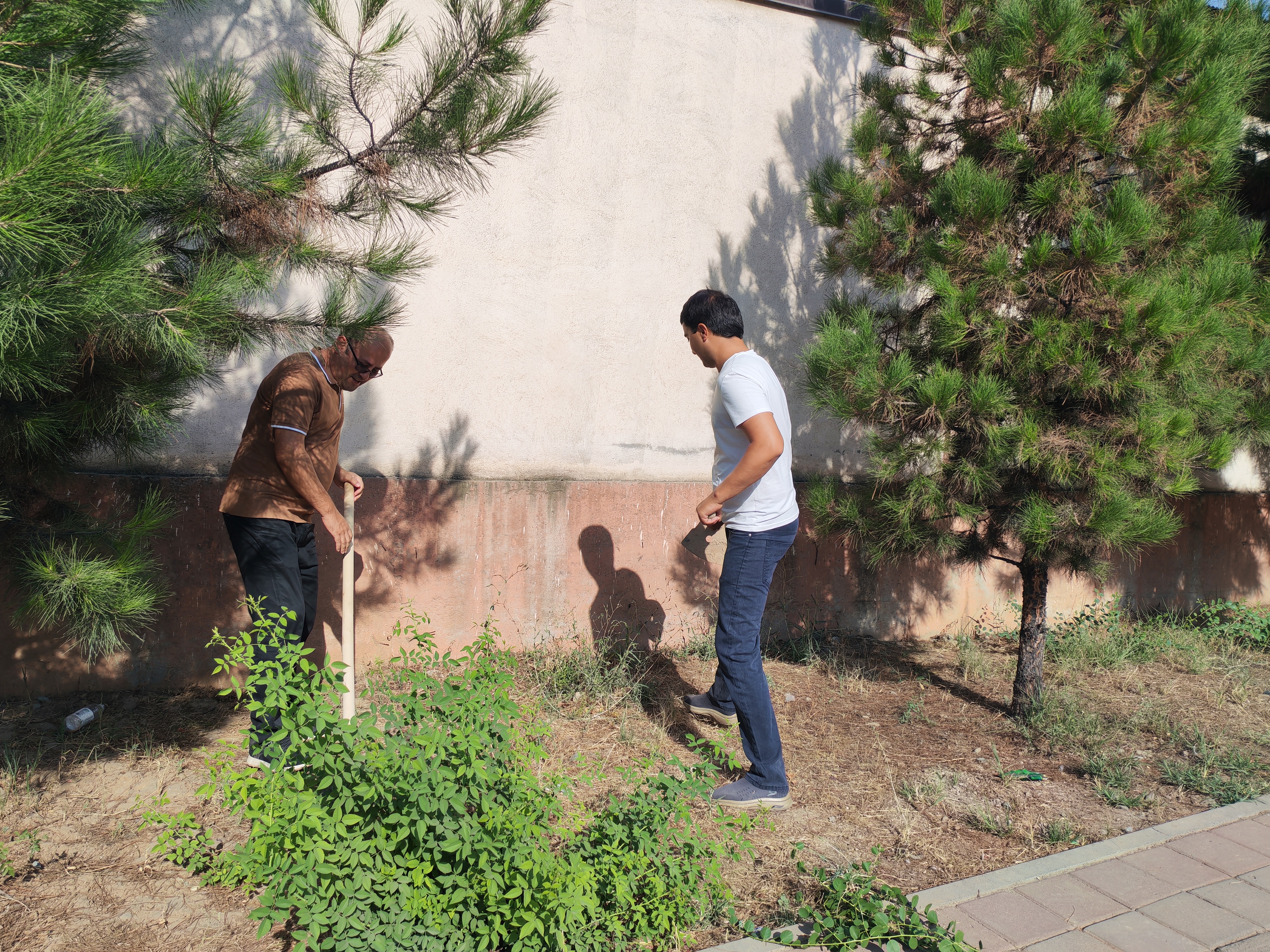 Holding a collective community cleanup