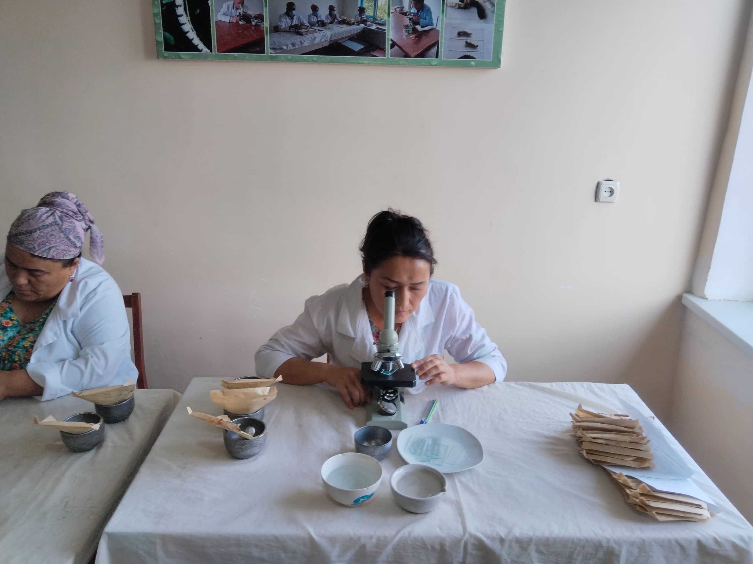 МУАЙЯН КАРДАНИ БЕМОРИҲОИ КИРМАКИ ПИЛЛА.