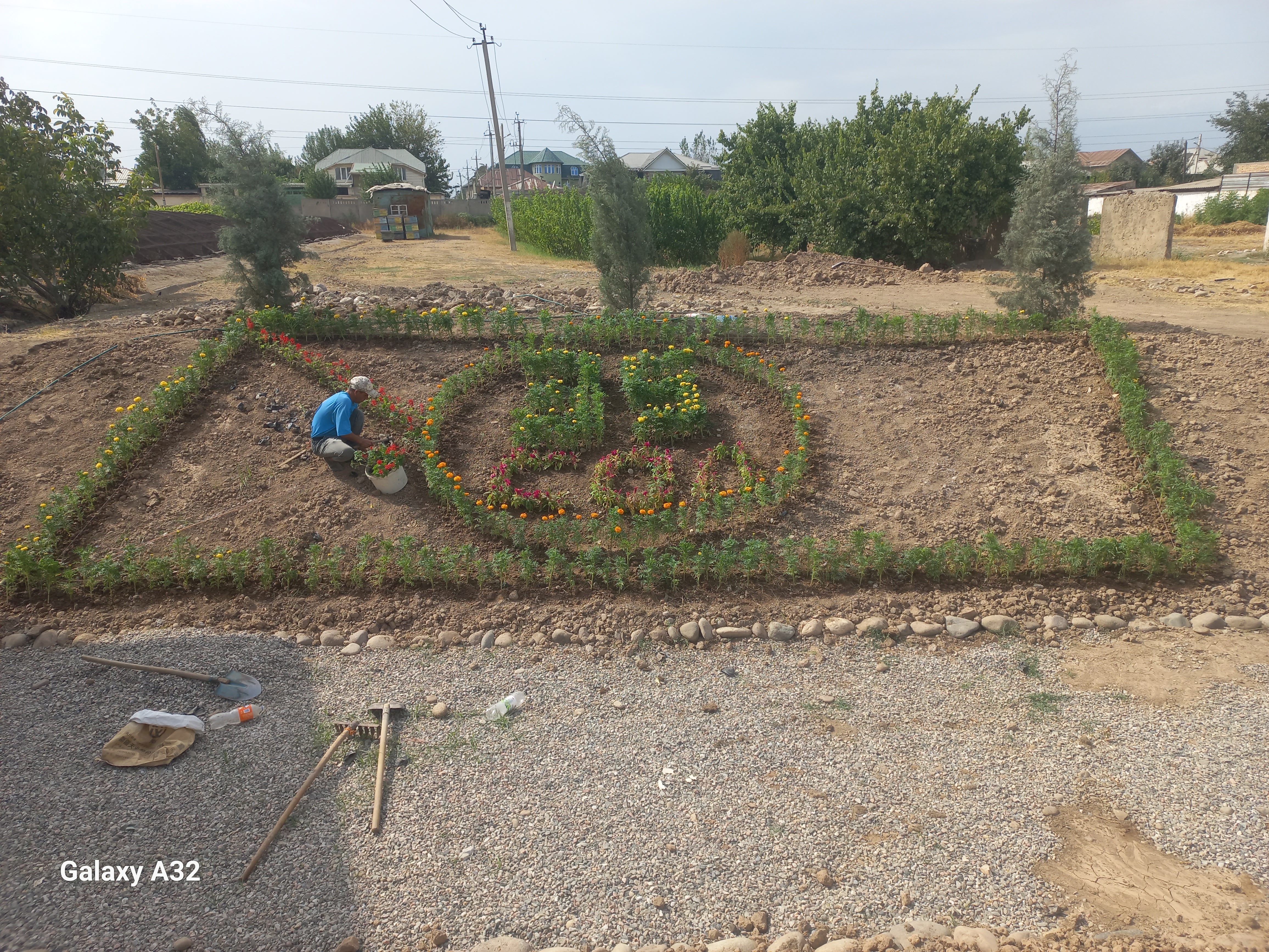 Progress of Improvement and Landscaping Works at the Republican Scientific Research Center for Sericulture